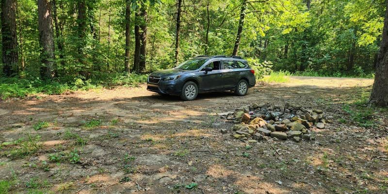 Camper submitted image from Jack Creek Road Dispersed, Ouachita National Forest, AR