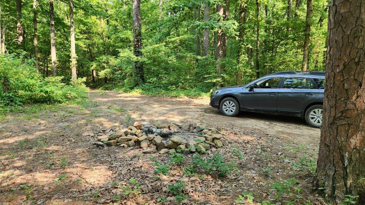 Camper submitted image from Jack Creek Road Dispersed, Ouachita National Forest, AR - 4