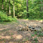 Review photo of Jack Creek Road Dispersed, Ouachita National Forest, AR by Fred S., July 19, 2024