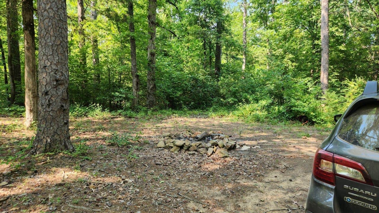 Camper submitted image from Jack Creek Road Dispersed, Ouachita National Forest, AR - 2