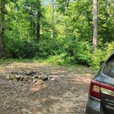 Review photo of Jack Creek Road Dispersed, Ouachita National Forest, AR by Fred S., July 19, 2024