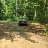 Review photo of Jack Creek Road Dispersed, Ouachita National Forest, AR by Fred S., July 19, 2024