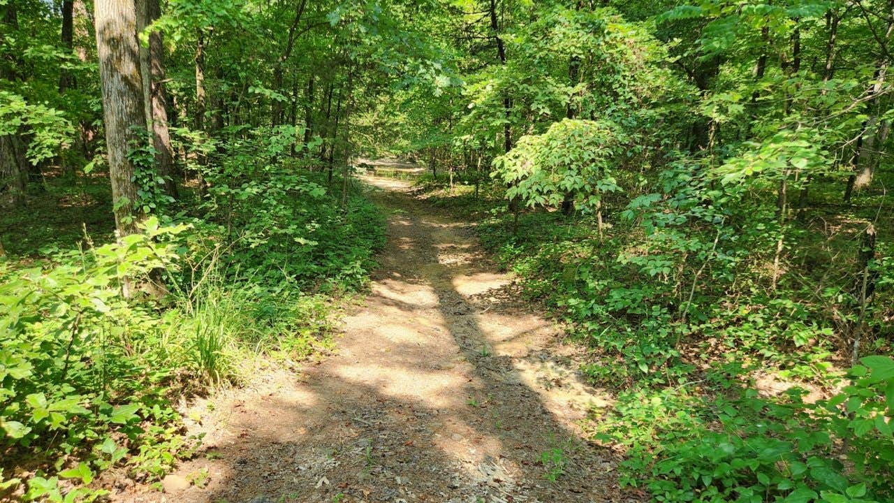Camper-submitted photo at Jack Creek Road Dispersed, Ouachita National Forest, AR near Paris, AR
