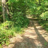 Review photo of Jack Creek Road Dispersed, Ouachita National Forest, AR by Fred S., July 19, 2024