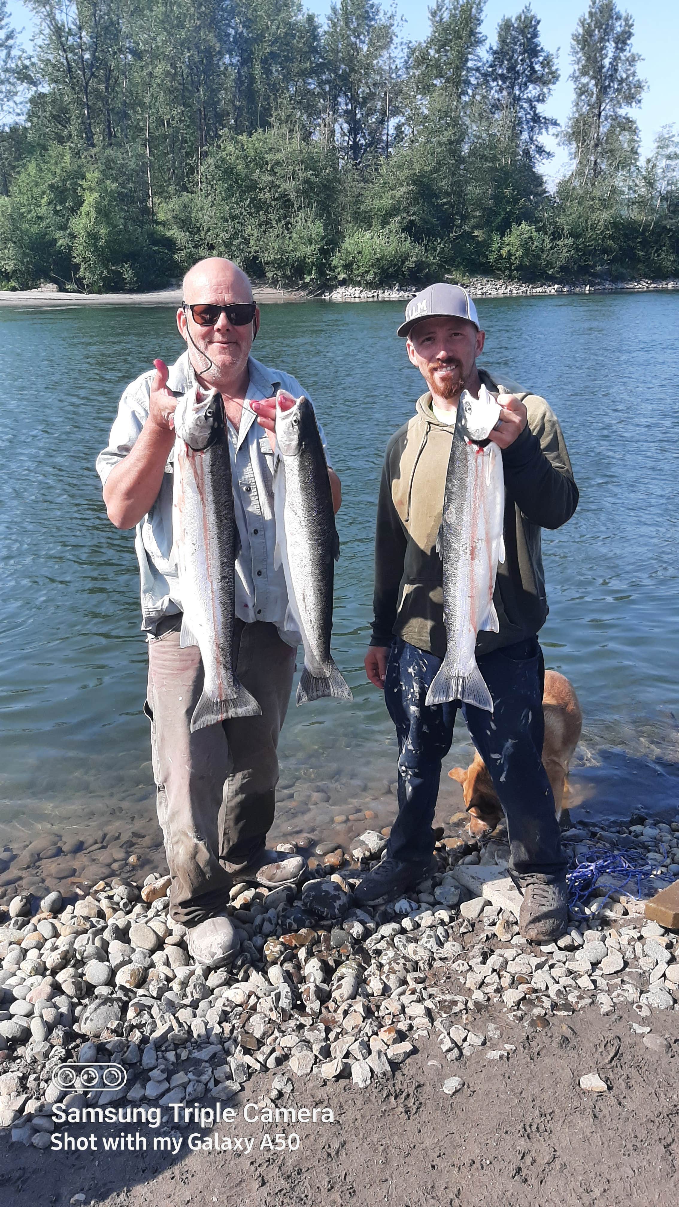 Camper-submitted photo at River bank near Rainier, OR