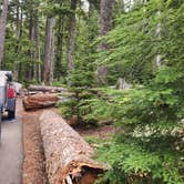 Review photo of Lost Lake Resort And Campground — Mt. Hood National Forest by Tony G., July 20, 2024