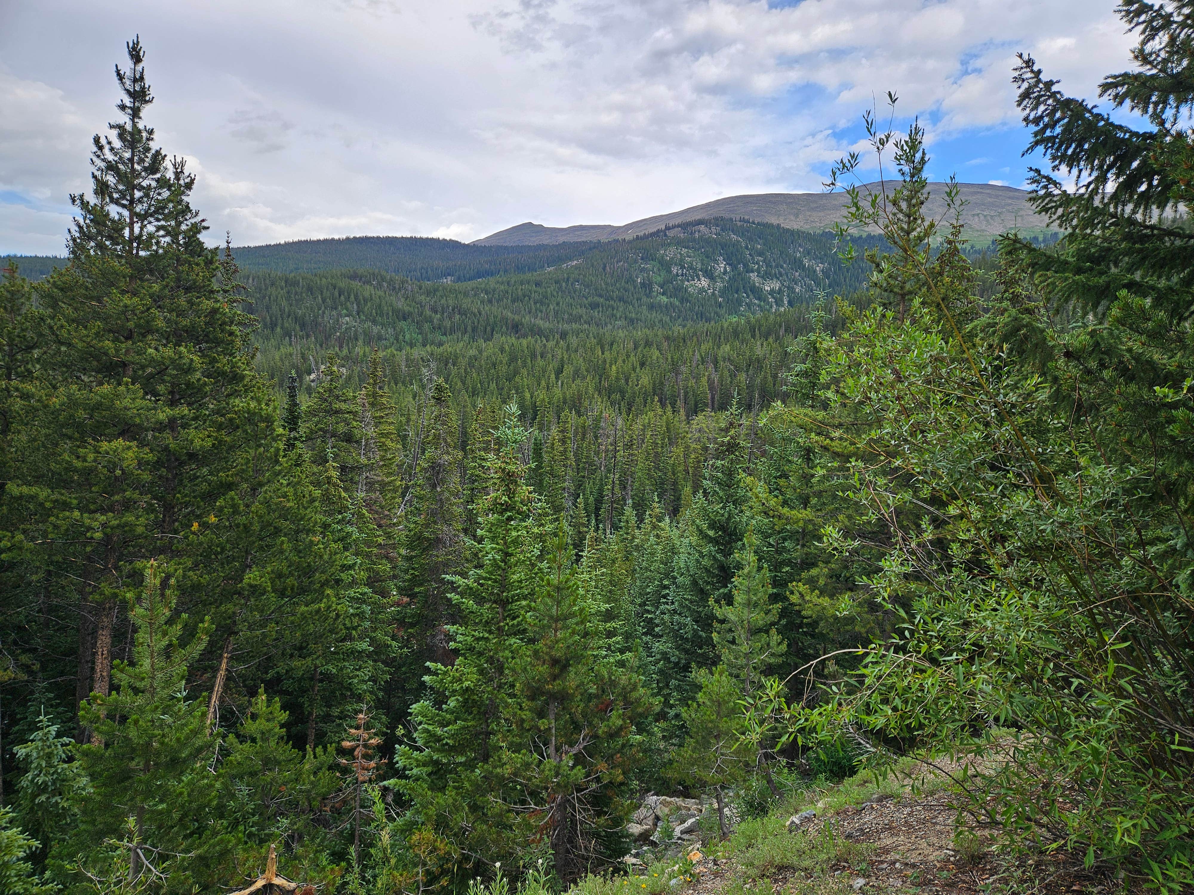 Camper-submitted photo at Homestake Reservoir Rd Milemarker 3 - Dispersed near Minturn, CO