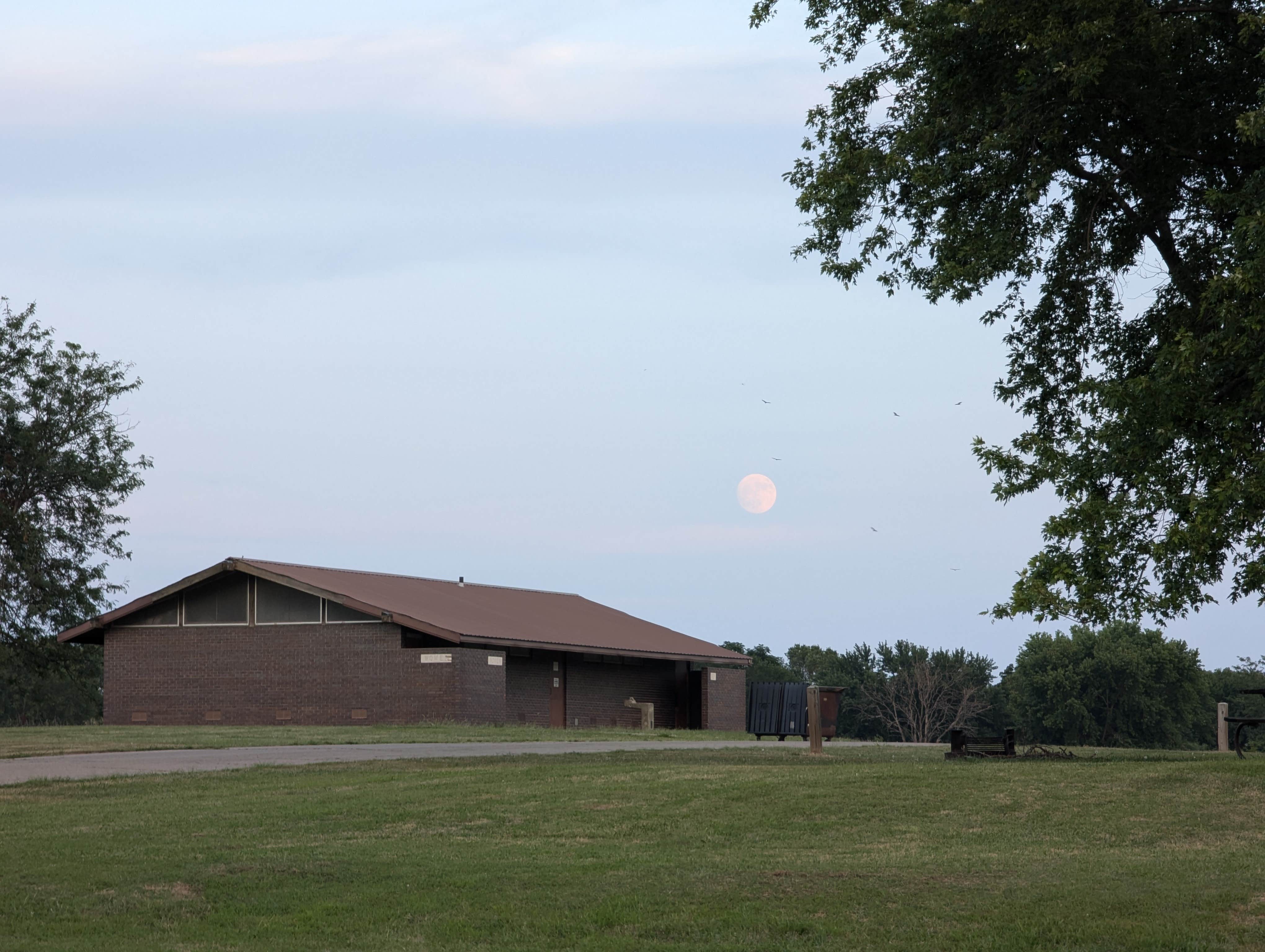 Camper submitted image from Coneflower Campground — Clinton State Park - 1
