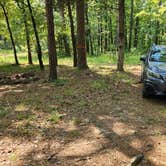 Review photo of Jack Creek Rd Pull Thru Dispersed, Ouachita National Forest, AR by Fred S., July 21, 2024