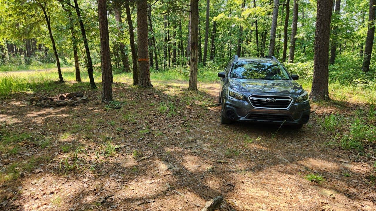 Camper submitted image from Jack Creek Rd Pull Thru Dispersed, Ouachita National Forest, AR - 4