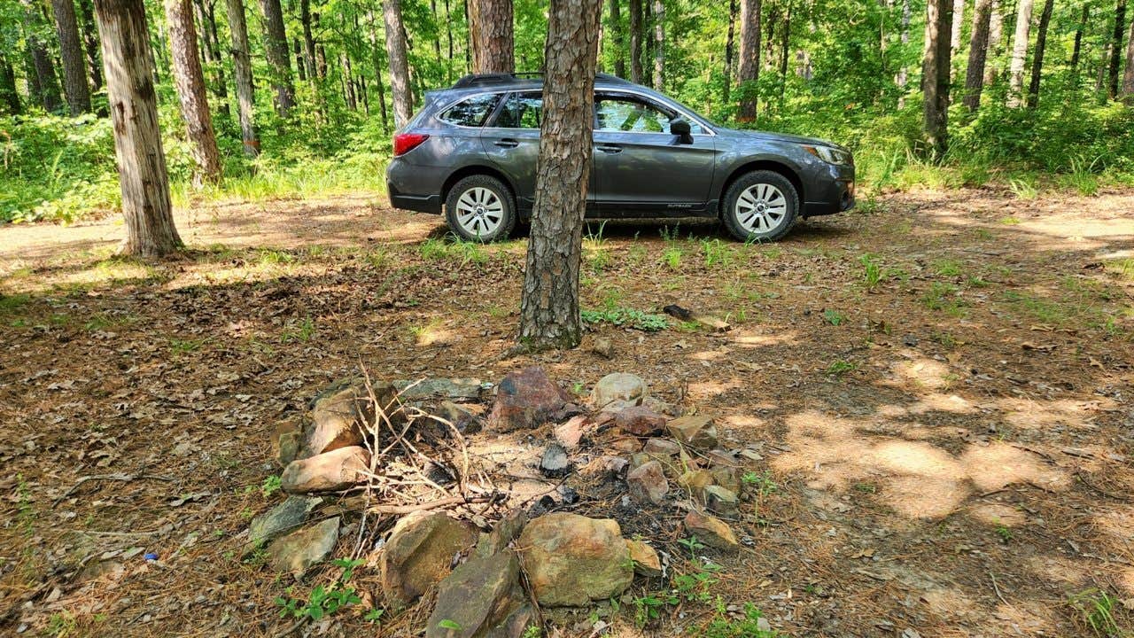 Camper submitted image from Jack Creek Rd Pull Thru Dispersed, Ouachita National Forest, AR - 2