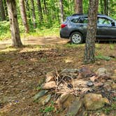 Review photo of Jack Creek Rd Pull Thru Dispersed, Ouachita National Forest, AR by Fred S., July 21, 2024