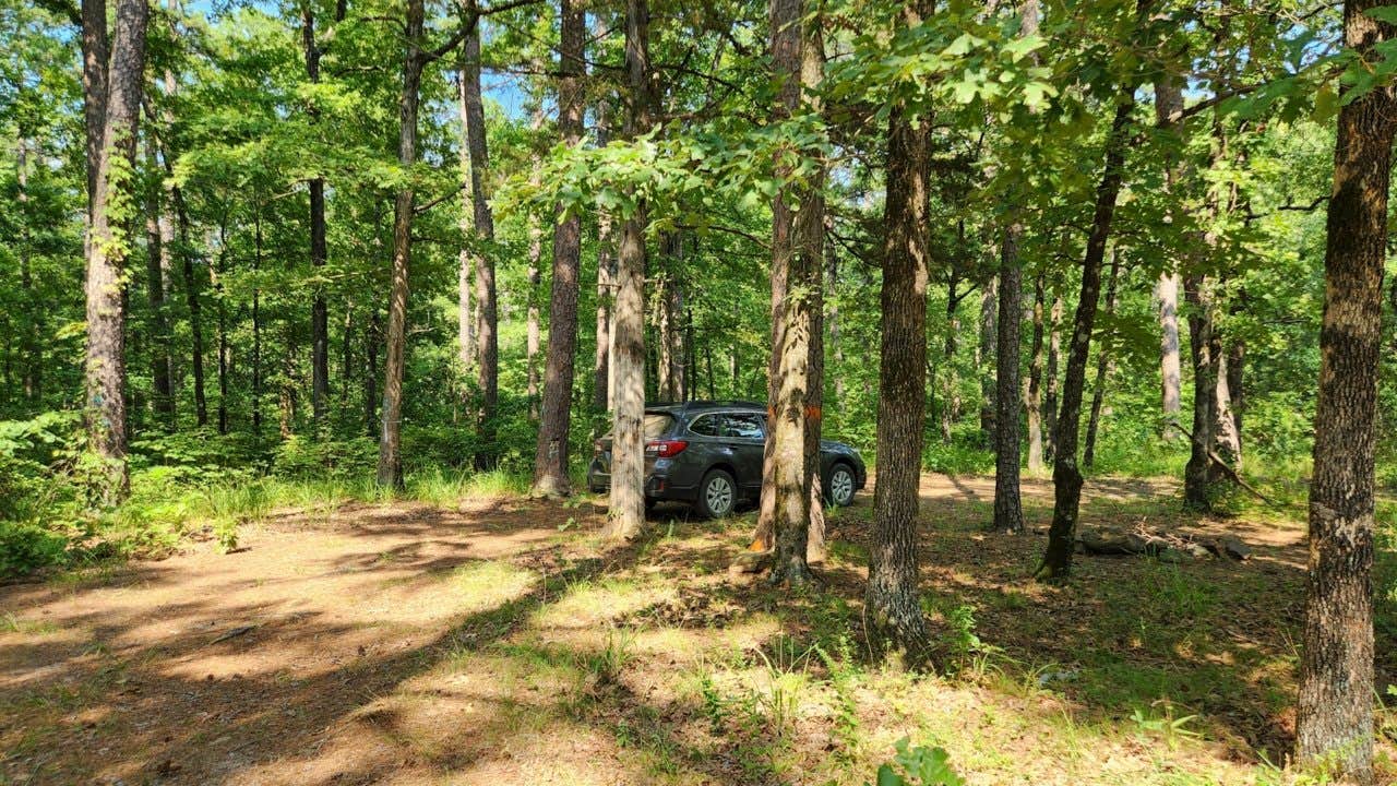 Camper-submitted photo at Jack Creek Rd Pull Thru Dispersed, Ouachita National Forest, AR near Paris, AR
