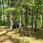 Review photo of Jack Creek Rd Pull Thru Dispersed, Ouachita National Forest, AR by Fred S., July 21, 2024