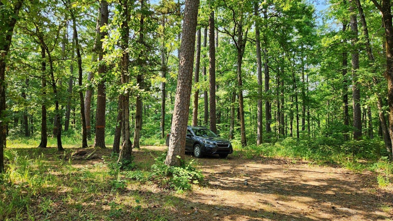 Camper-submitted photo at Jack Creek Rd Pull Thru Dispersed, Ouachita National Forest, AR near Paris, AR