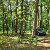 Review photo of Jack Creek Rd Pull Thru Dispersed, Ouachita National Forest, AR by Fred S., July 21, 2024