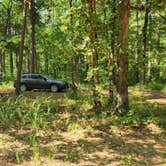 Review photo of Jack Creek Rd Pull Thru Dispersed, Ouachita National Forest, AR by Fred S., July 21, 2024