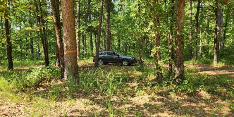 Camper submitted image from Jack Creek Rd Pull Thru Dispersed, Ouachita National Forest, AR