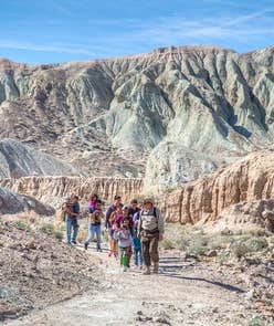 Camper submitted image from Rainbow Basin/owl Canyon Campground - 5