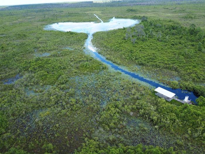 Camper submitted image from Okefenokee National Wildlife Refuge Camping - 1