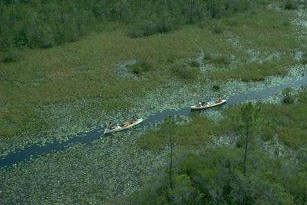 Camper submitted image from Okefenokee National Wildlife Refuge Camping - 3