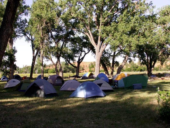 Camper submitted image from Belle Fourche Campground at Devils Tower — Devils Tower National Monument - 5