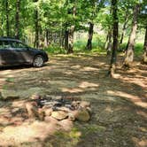 Review photo of Jack Creek Dispersed, Ouachita National Forest, AR by Fred S., July 22, 2024