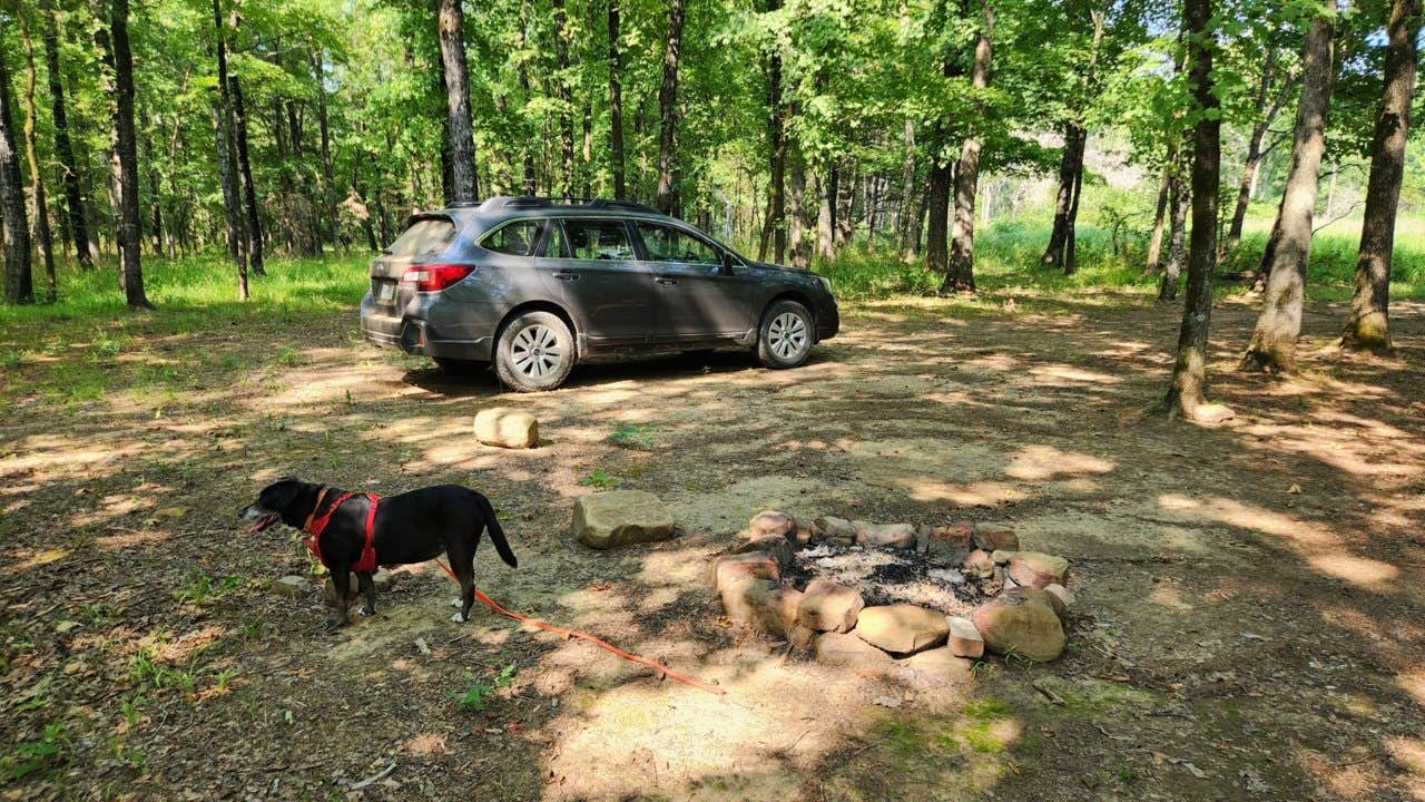 Camper submitted image from Jack Creek Dispersed, Ouachita National Forest, AR - 2
