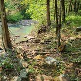 Review photo of Jack Creek Dispersed, Ouachita National Forest, AR by Fred S., July 22, 2024