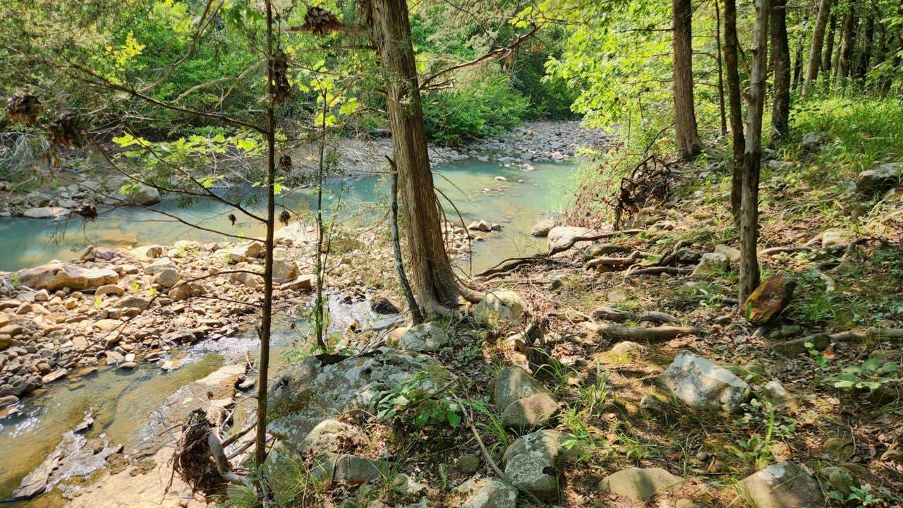 Camper submitted image from Jack Creek Dispersed, Ouachita National Forest, AR - 5