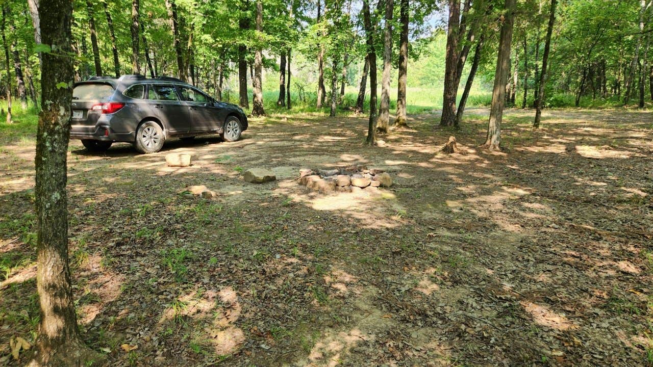 Camper submitted image from Jack Creek Dispersed, Ouachita National Forest, AR - 1