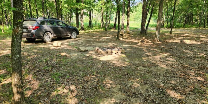 Camper submitted image from Jack Creek Dispersed, Ouachita National Forest, AR