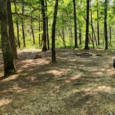 Review photo of Jack Creek Dispersed, Ouachita National Forest, AR by Fred S., July 22, 2024