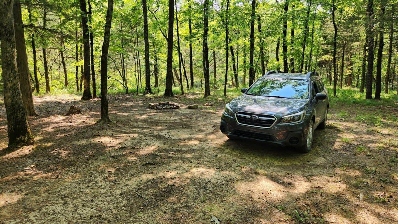 Camper submitted image from Jack Creek Dispersed, Ouachita National Forest, AR - 3