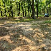 Review photo of Jack Creek Dispersed, Ouachita National Forest, AR by Fred S., July 22, 2024