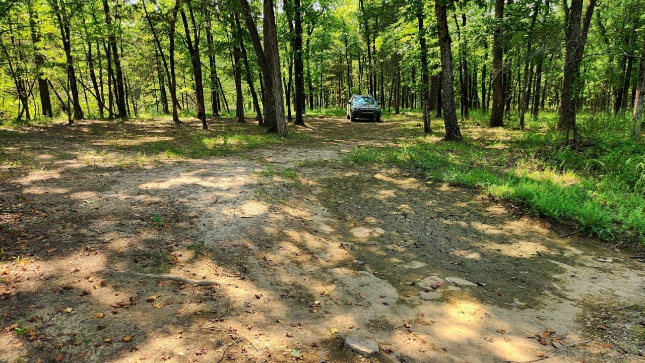 Camper submitted image from Jack Creek Dispersed, Ouachita National Forest, AR - 4