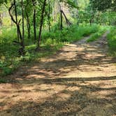 Review photo of Jack Creek Dispersed, Ouachita National Forest, AR by Fred S., July 22, 2024