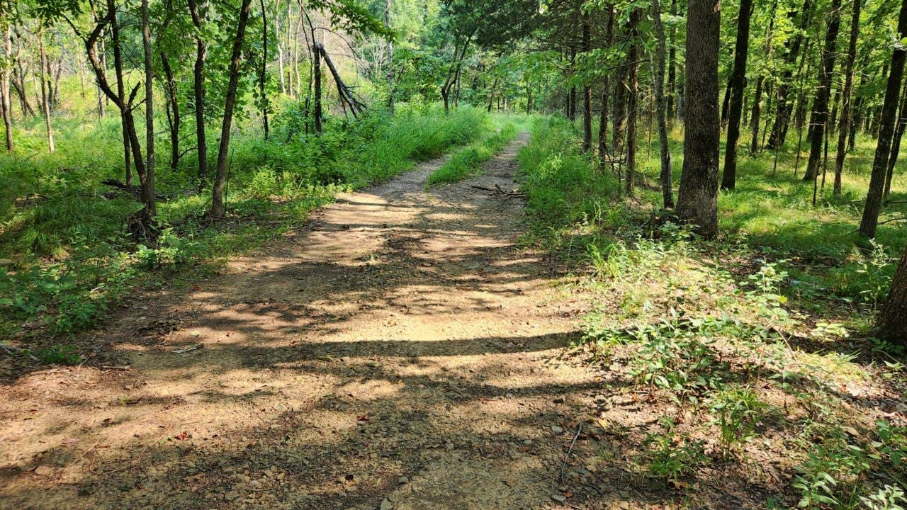 Camper submitted image from Jack Creek Dispersed, Ouachita National Forest, AR - 2