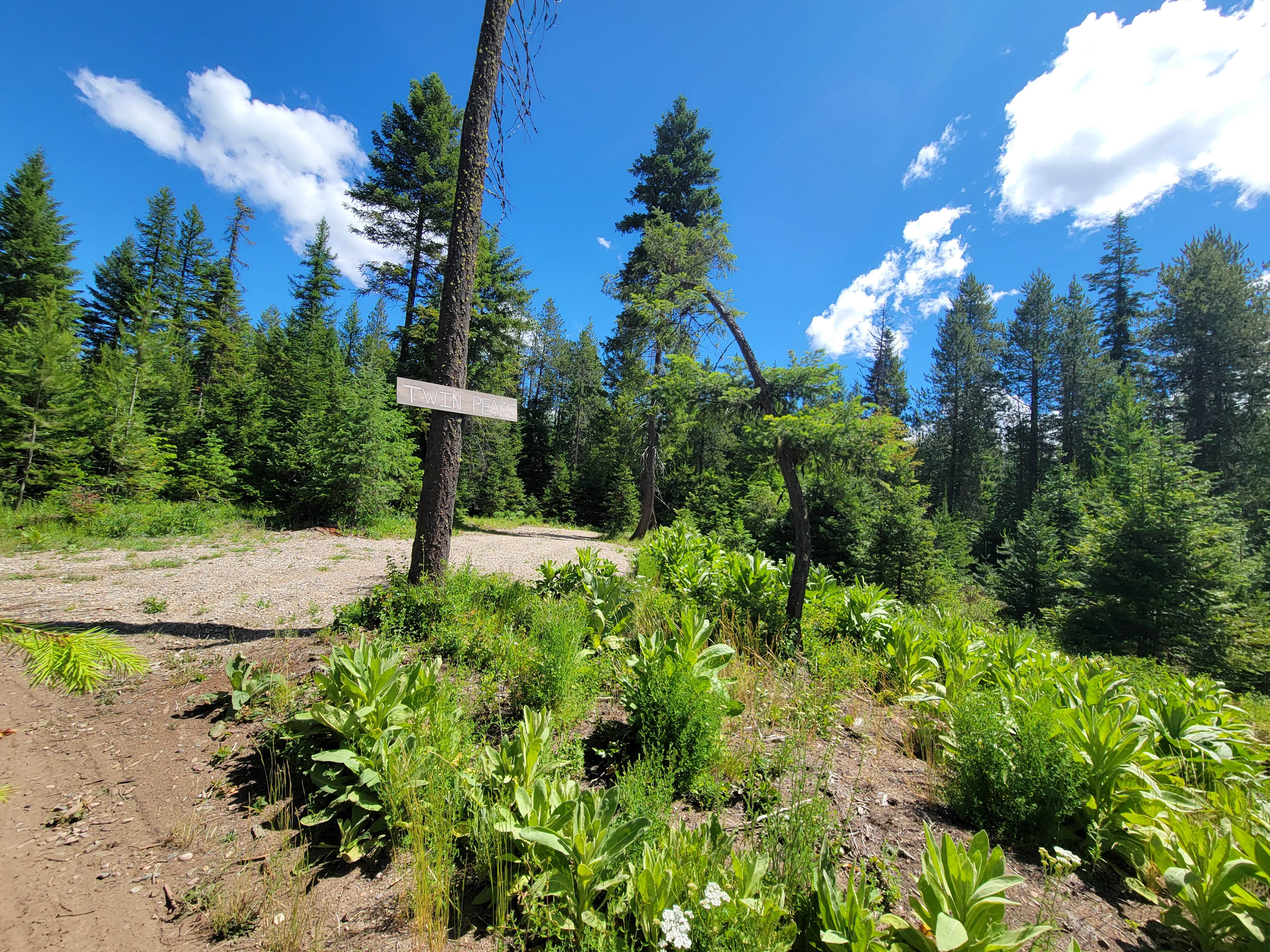 Camper-submitted photo at Brown Barrel near Chewelah, WA