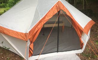 The Dyrt's photo at Sacred Hollow near Rensselaerville, NY