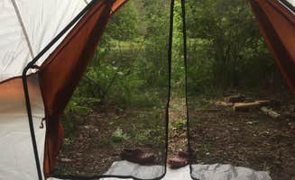 The Dyrt's photo at Sacred Hollow near Schoharie, NY