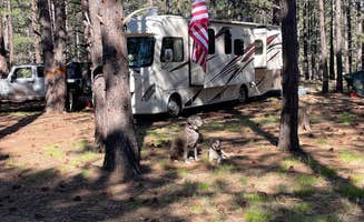 Gar's photo at FR 151 Dispersed Camping near Gray Mountain, AZ