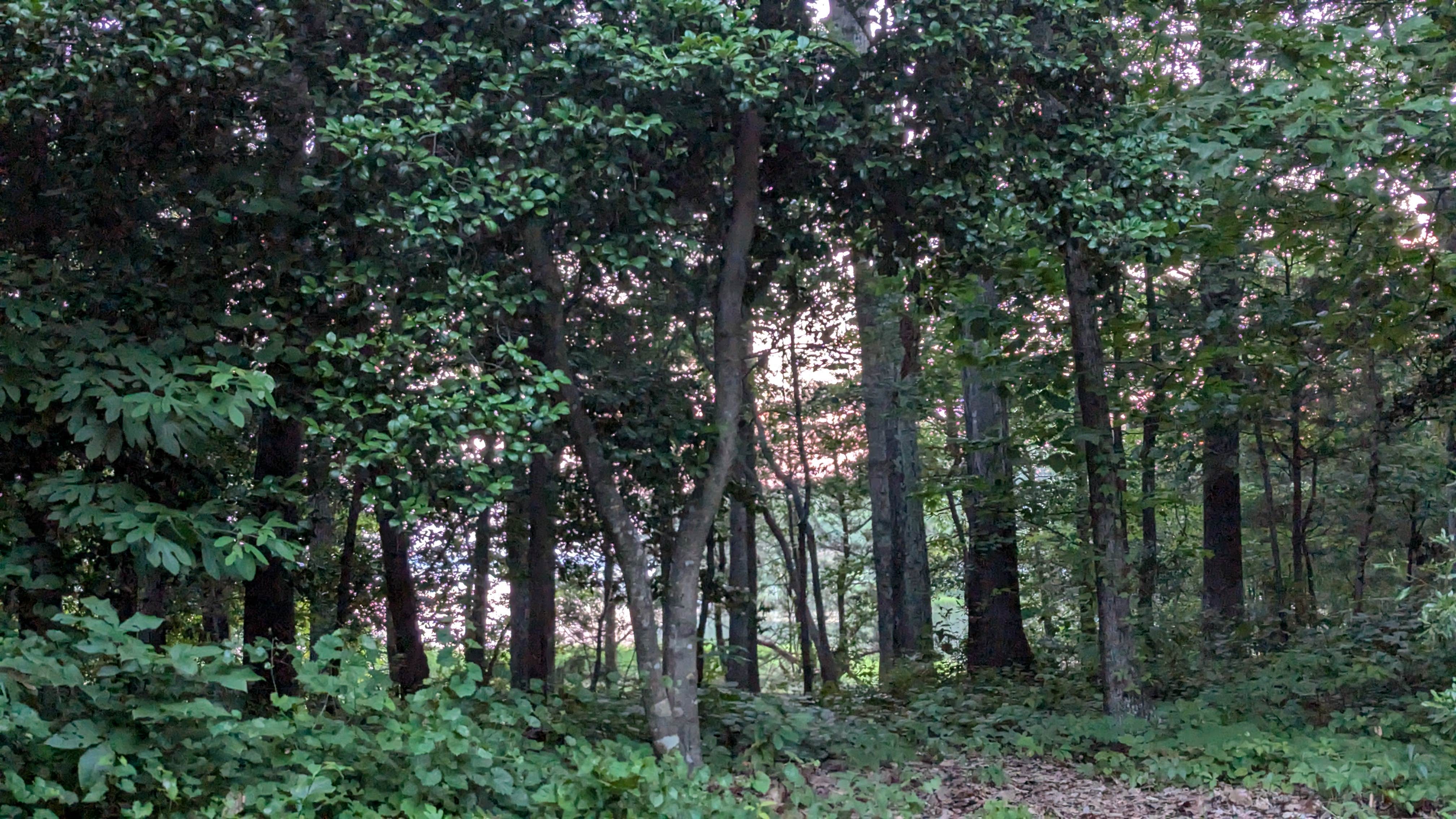 Camper-submitted photo at Machicomoco State Park Campground near Lightfoot, VA