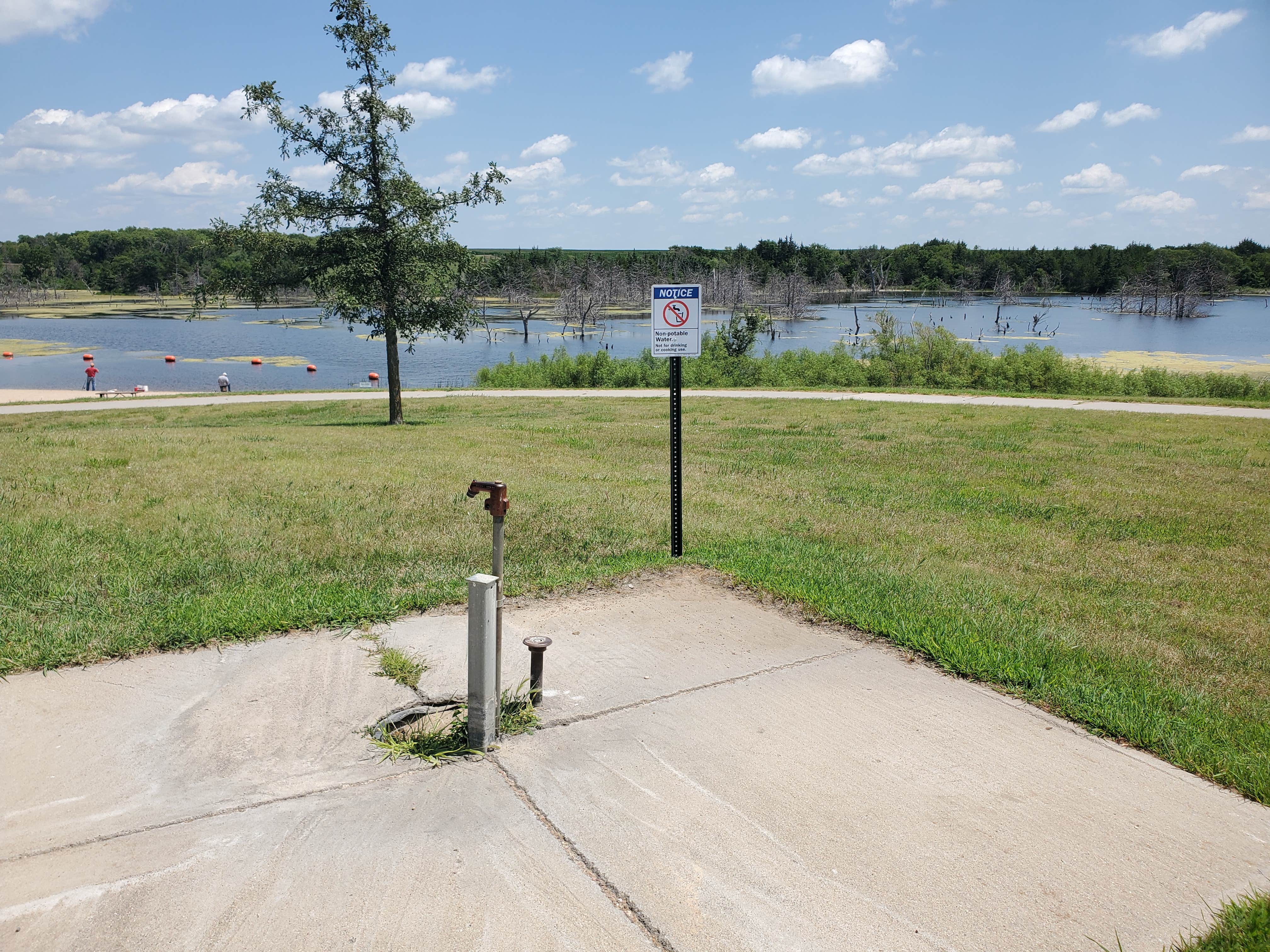 Camper submitted image from Lone Star Rec Area - 3