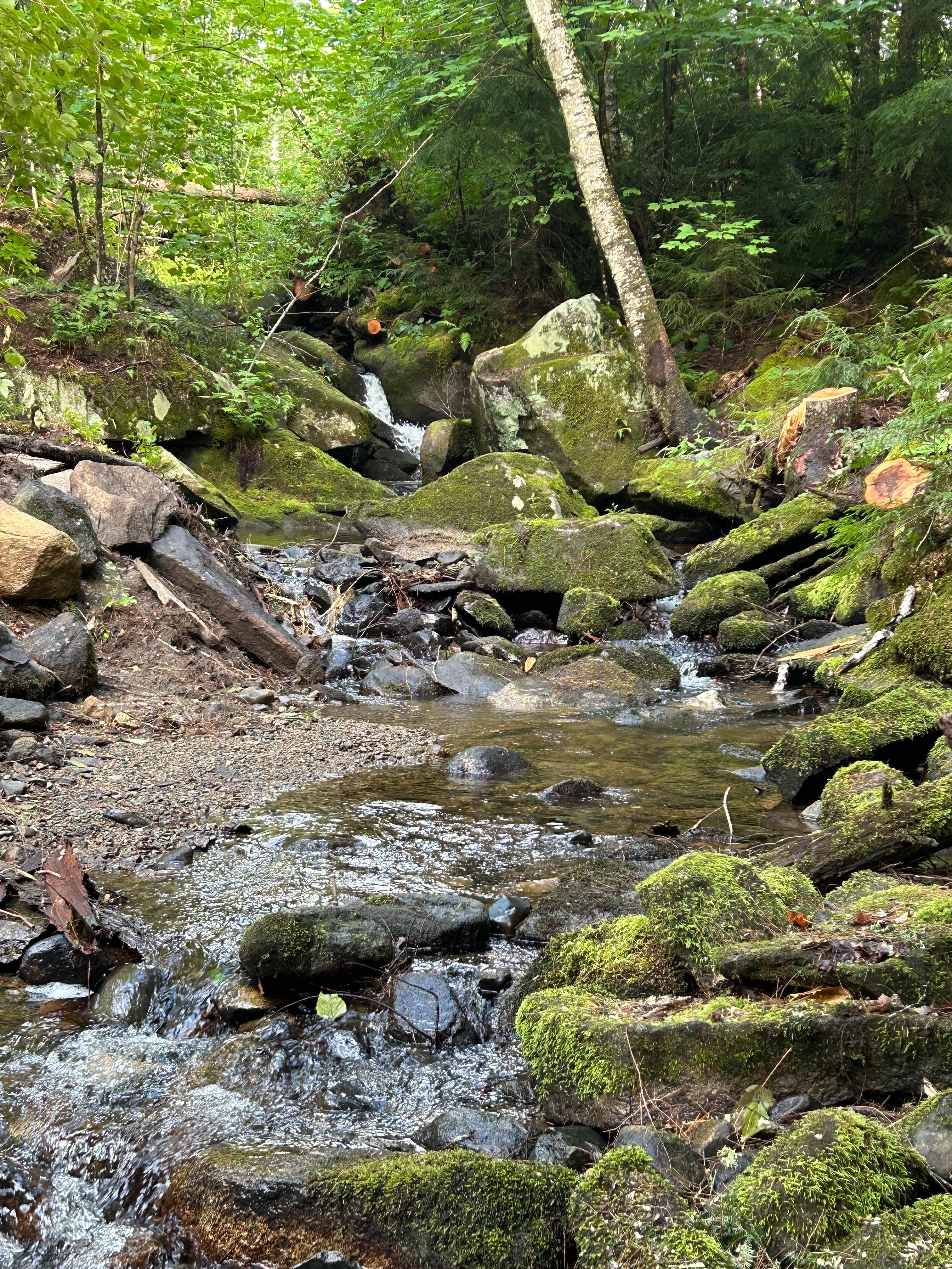 Camper-submitted photo at Dugout Hideaway @ Granny Clark Brook near Benton, NH