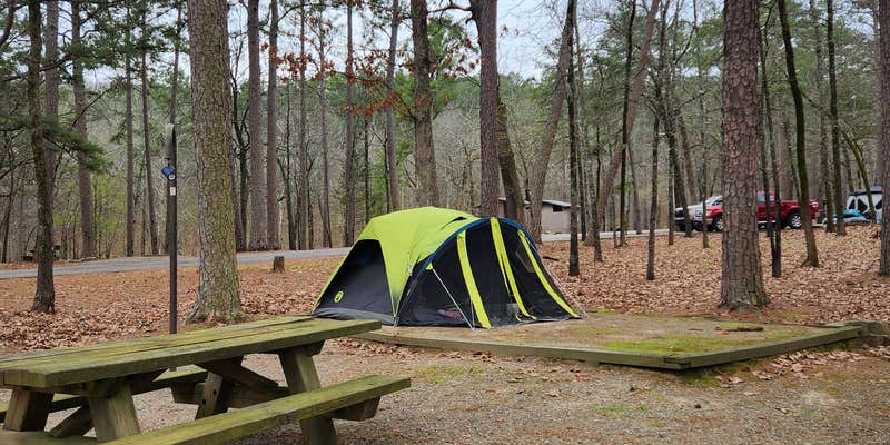 Camper submitted image from Cove Lake Complex