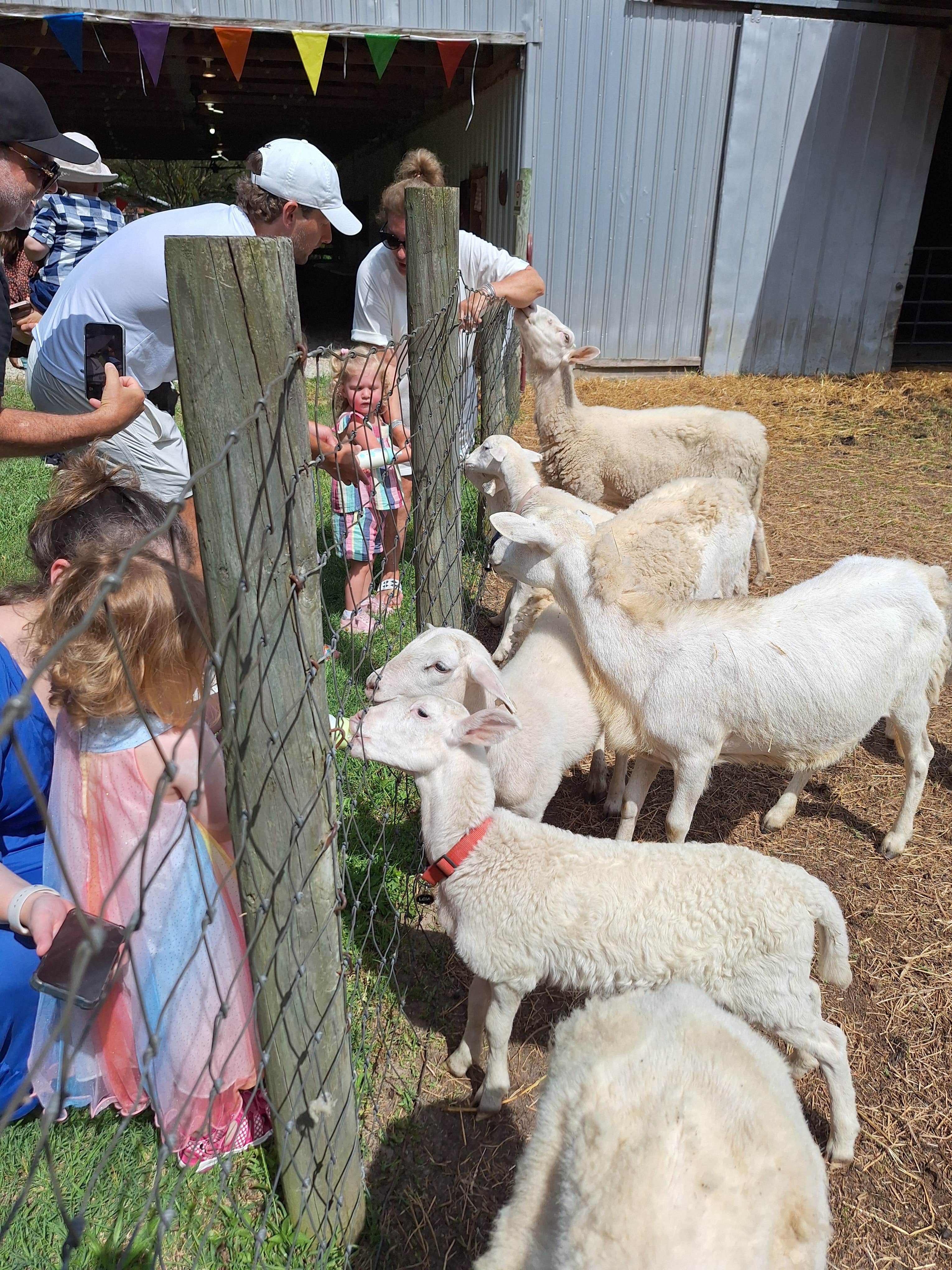 Camper-submitted photo at Brookhaven Mill Farm near Burlington, NC