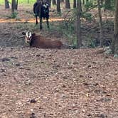 Review photo of Hanscombe Point Campground by marty E., July 25, 2024