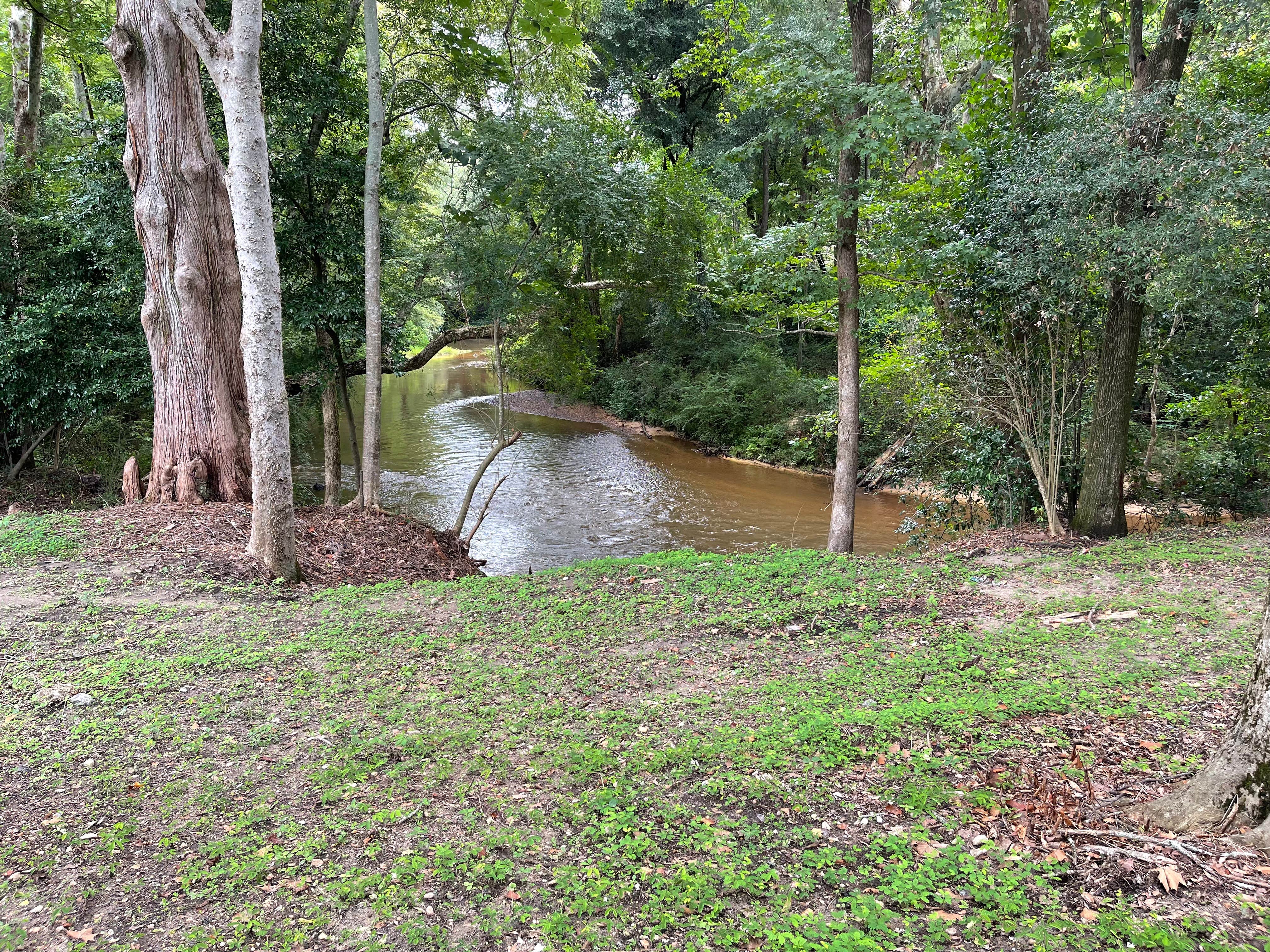 Shady Creek