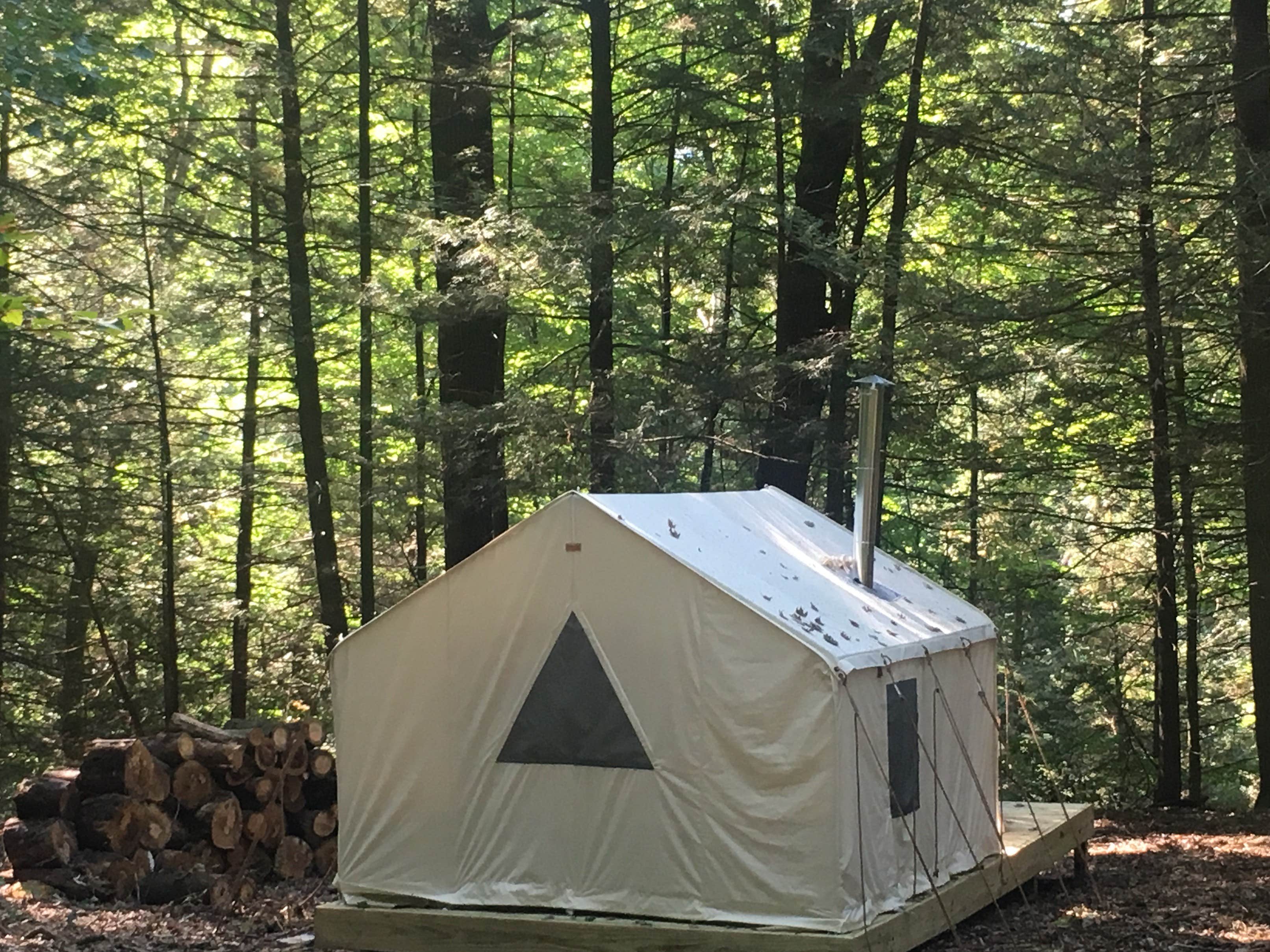 The Dyrt's photo at Forest with a Trout Creek near Spring Glen, NY